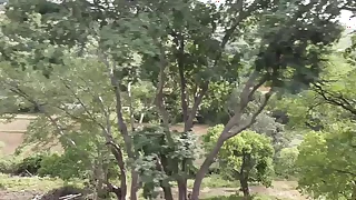 20171105 084427